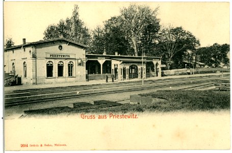 02694-Priestewitz-1902-Bahnhof-Brück & Sohn Kunstverlag