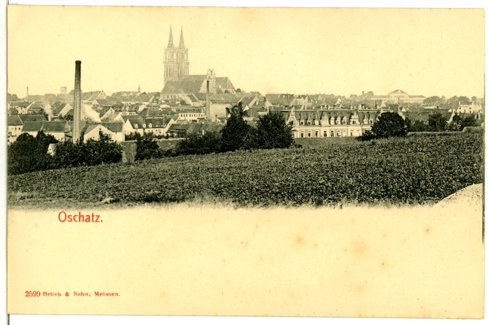 02599-Oschatz-1902-Blick auf Stadt und Dom-Brück & Sohn Kunstverlag
