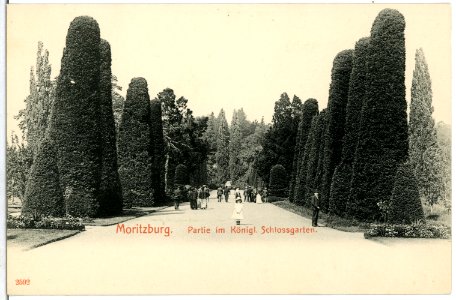 02592-Moritzburg-1902-im Schloßgarten-Brück & Sohn Kunstverlag
