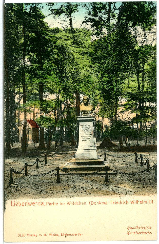 03196-Liebenwerda-1903-Wäldchen - Denkmal Friedrich-Wilhelm III.-Brück & Sohn Kunstverlag