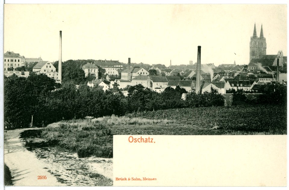02595-Oschatz-1902-Blick auf Stadt und Dom-Brück & Sohn Kunstverlag