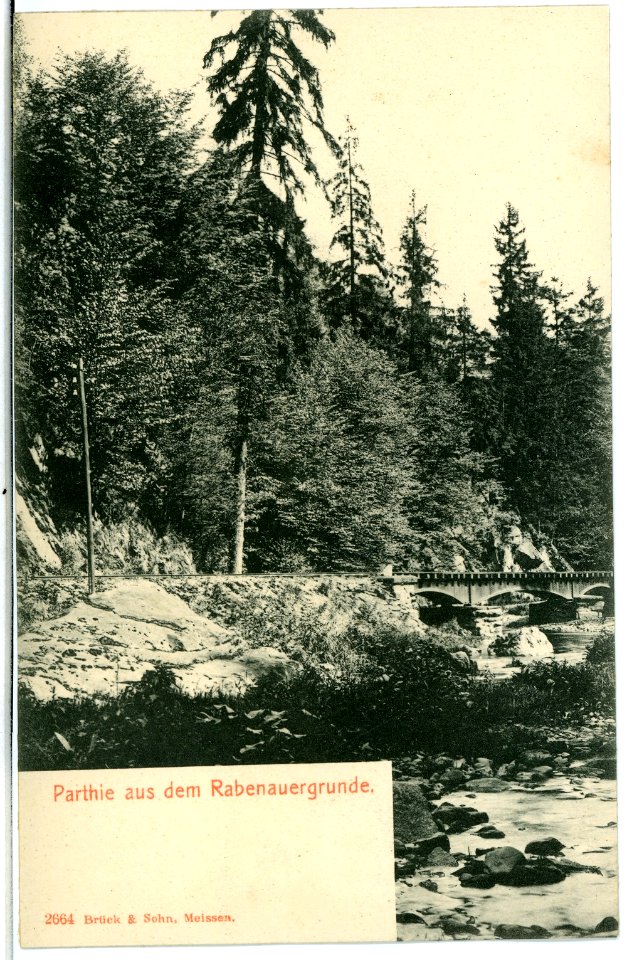 02664-Rabenau-1902-Rabenauer Grund-Brück & Sohn Kunstverlag
