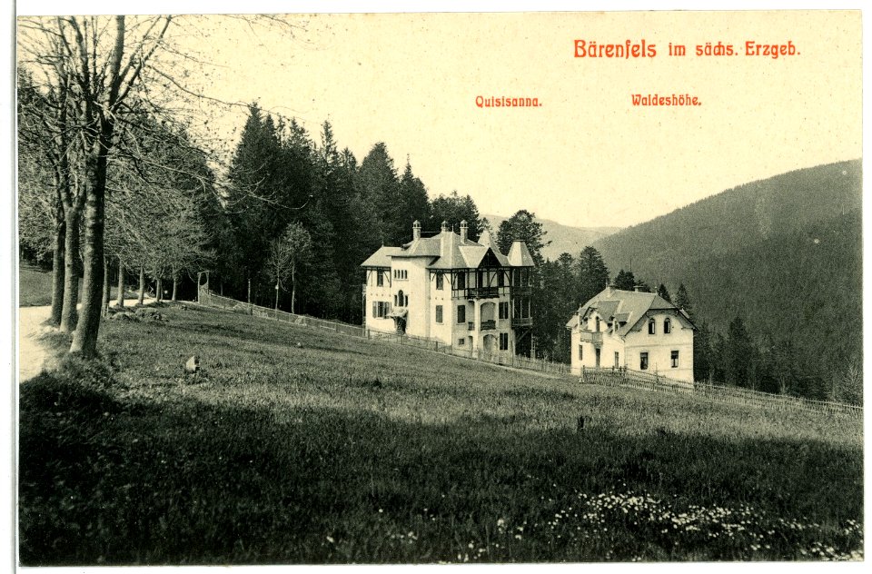 03008-Bärenfels-1903-Haus Quisisanna und Waldeshöhe-Brück & Sohn Kunstverlag
