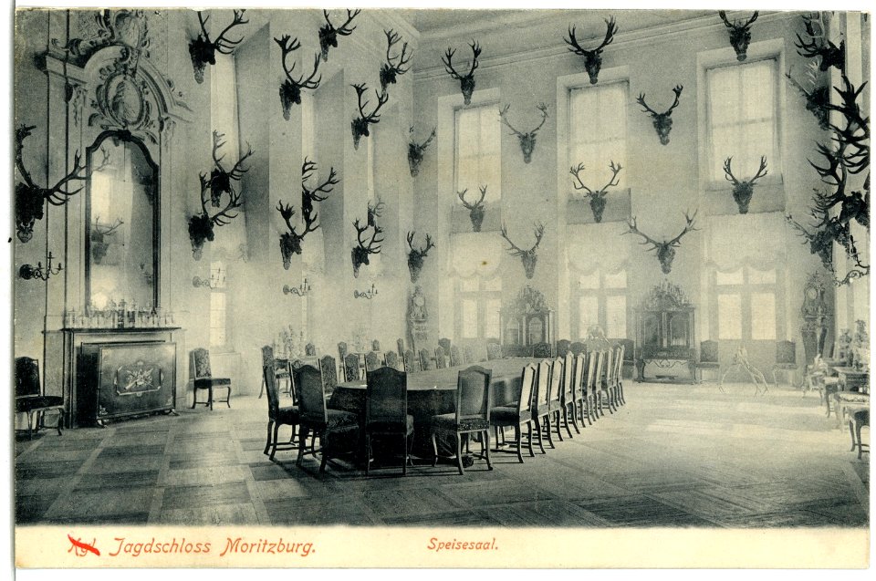 02675-Moritzburg-1902-Jagdschloß Speisesaal-Brück & Sohn Kunstverlag