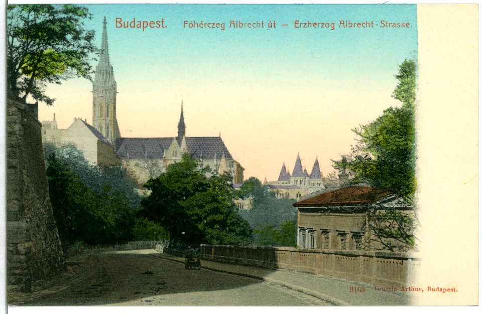 03163-Budapest-1903-Erzherzog Albrecht-Straße-Brück & Sohn Kunstverlag