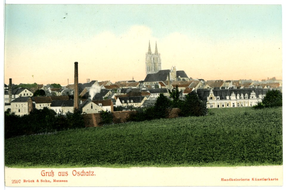 02597-Oschatz-1902-Blick auf Stadt und Dom-Brück & Sohn Kunstverlag