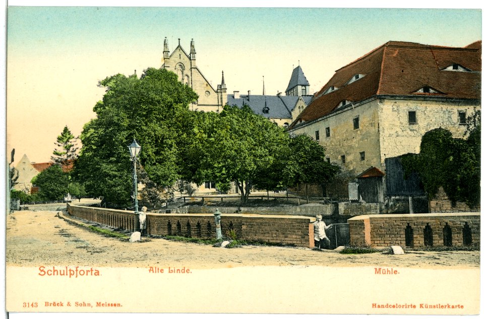 03143-Schulpforta-1903-Alte Linde-Brück & Sohn Kunstverlag