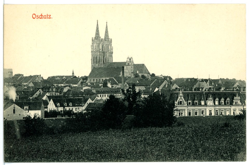 02596-Oschatz-1902-Blick auf Stadt und Dom-Brück & Sohn Kunstverlag