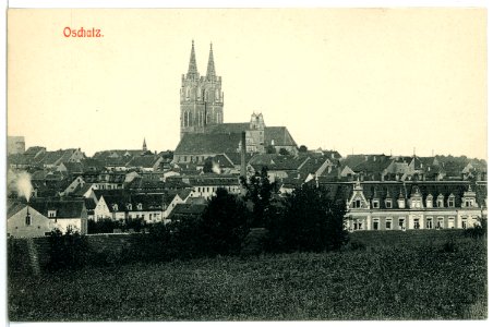 02596-Oschatz-1902-Blick auf Stadt und Dom-Brück & Sohn Kunstverlag
