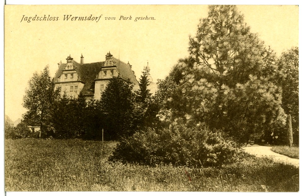 02593-Wermsdorf-1902-Jagdschloß vom Park gesehen-Brück & Sohn Kunstverlag