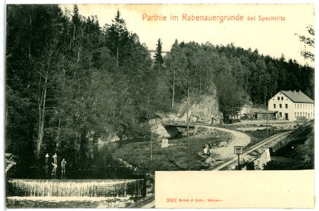 02662-Rabenau-1902-Rabenauer Grund bei Spechtritz-Brück & Sohn Kunstverlag