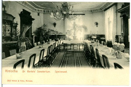 02867-Kreischa-1903-Dr. Bartels Sanatorium-Brück & Sohn Kunstverlag