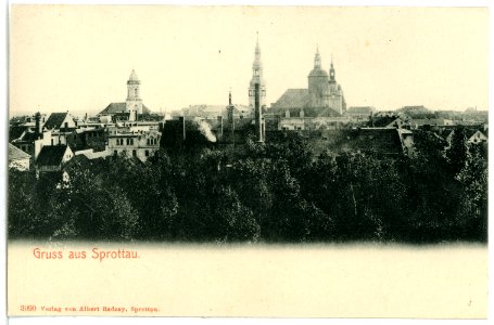 03090-Sprottau-1903-Blick nach Sprottau-Brück & Sohn Kunstverlag
