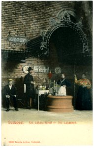 03169-Budapest-1903-Sct. Lukasbad-Brück & Sohn Kunstverlag