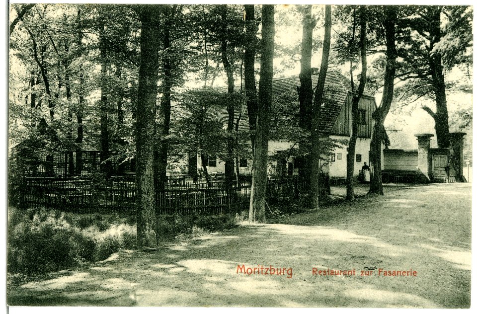 02861-Moritzburg-1903-Restaurant zur Fasanerie-Brück & Sohn Kunstverlag