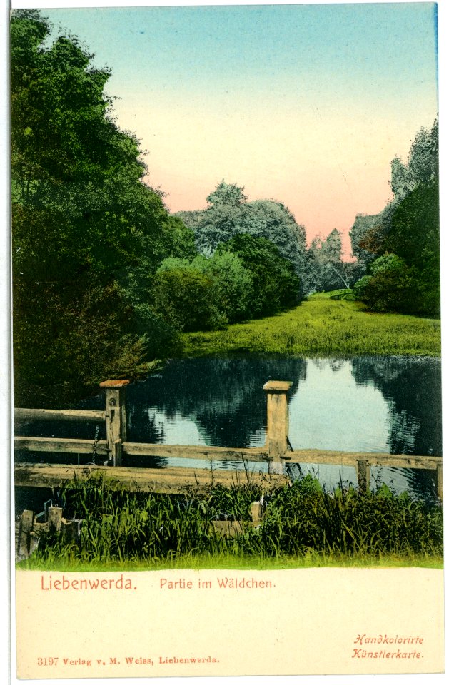 03197-Liebenwerda-1903-im Wäldchen-Brück & Sohn Kunstverlag