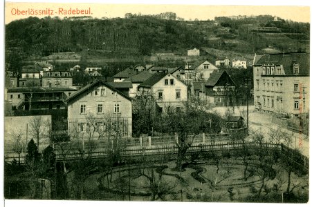 02863-Radebeul-1903-Blick über Oberlößnitz-Brück & Sohn Kunstverlag