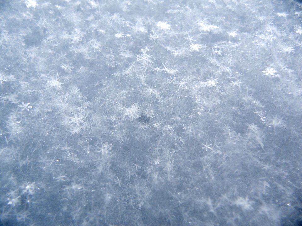 White cold weather