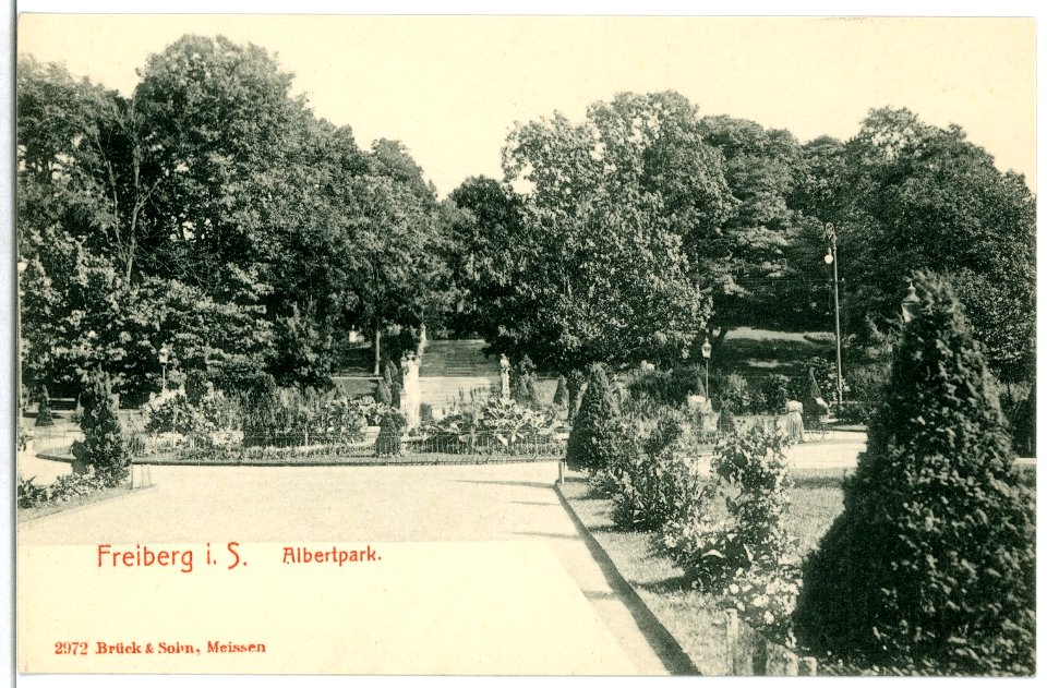 02972-Freiberg-1903-Albertpark-Brück & Sohn Kunstverlag
