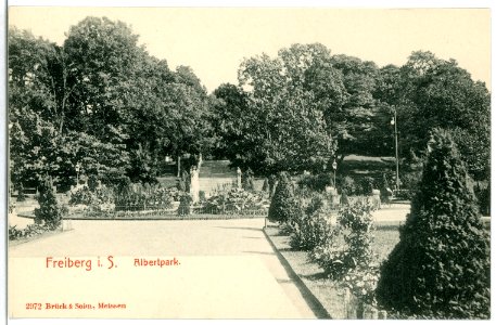 02972-Freiberg-1903-Albertpark-Brück & Sohn Kunstverlag