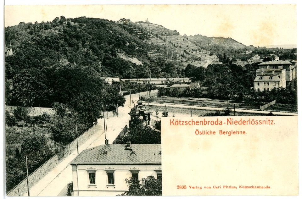 02893-Kötzschenbroda-1903-Niederlößnitz, Östliche Berglehne-Brück & Sohn Kunstverlag