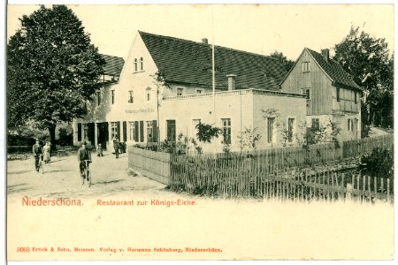 03068-Niederschöna-1903-Restaurant zur Königs Eiche-Brück & Sohn Kunstverlag