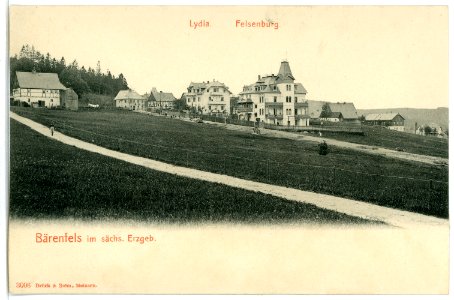 03006-Bärenfels-1903-Haus Lydia und Felsenburg-Brück & Sohn Kunstverlag
