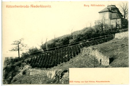 02823-Kötzschenbroda-1903-Niederlößnitz - Burg Altfriedstein-Brück & Sohn Kunstverlag