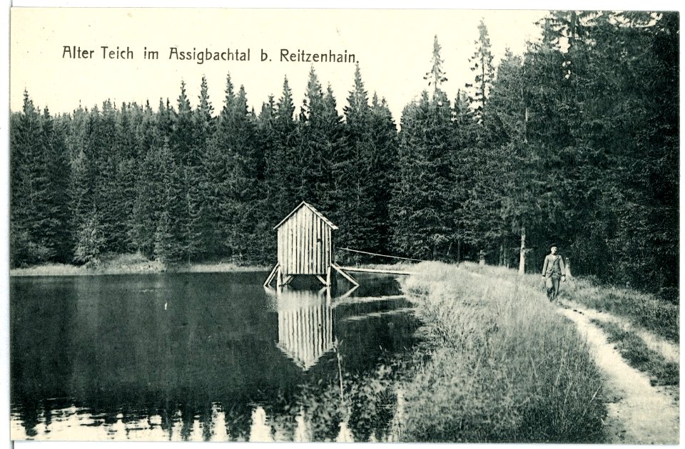 03022-Reitzenhain-1903-Alter Teich im Assigbachtal bei Reizenhain-Brück & Sohn Kunstverlag