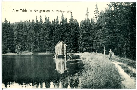 03022-Reitzenhain-1903-Alter Teich im Assigbachtal bei Reizenhain-Brück & Sohn Kunstverlag