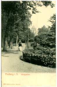 02971-Freiberg-1903-Königsallee-Brück & Sohn Kunstverlag