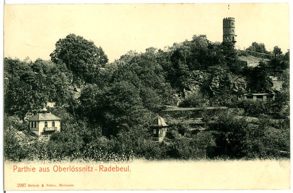 02987-Radebeul-1903-Blick in die Oberlößnitz-Brück & Sohn Kunstverlag