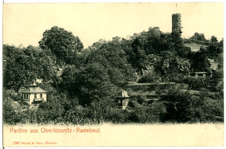 02987-Radebeul-1903-Blick in die Oberlößnitz-Brück & Sohn Kunstverlag
