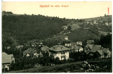 03012-Kipsdorf-1903-Blick nach Kipsdorf-Brück & Sohn Kunstverlag