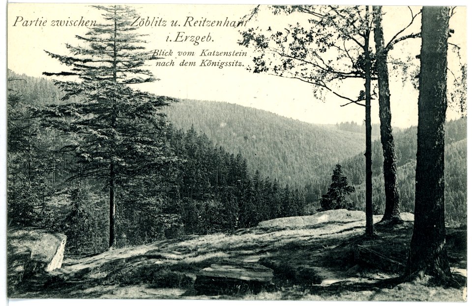 03024-Reitzenhain-1903-Blick vom Katzenstein-Brück & Sohn Kunstverlag