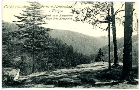 03024-Reitzenhain-1903-Blick vom Katzenstein-Brück & Sohn Kunstverlag
