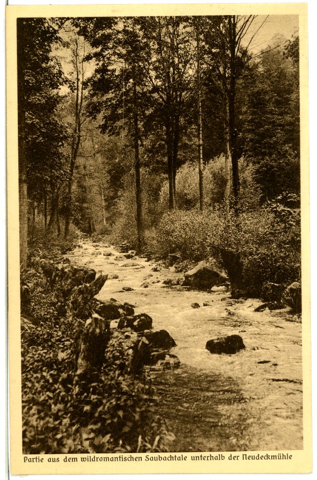 02897-Gauernitz-1903-Saubachtal-Brück & Sohn Kunstverlag
