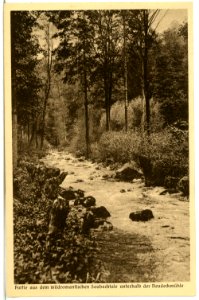 02897-Gauernitz-1903-Saubachtal-Brück & Sohn Kunstverlag