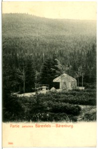 02836-Bärenfels-1903-Landschaft zwischen Bärenfels und Bärenburg-Brück & Sohn Kunstverlag