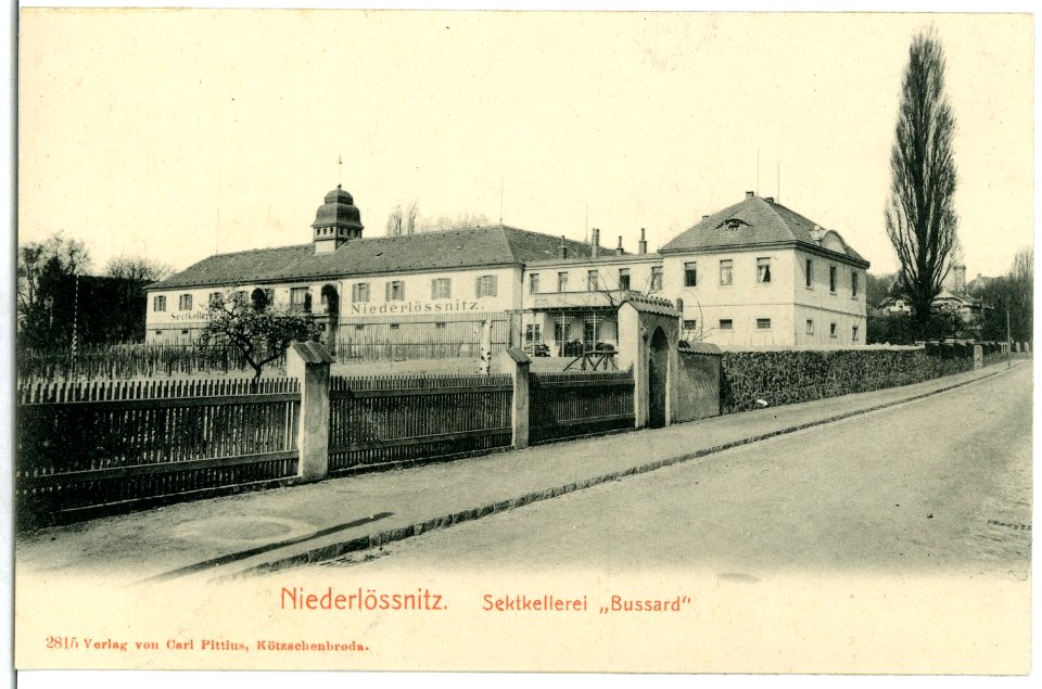 02815-Niederlößnitz-1903-Sektkellerei "Bussard"-Brück & Sohn Kunstverlag