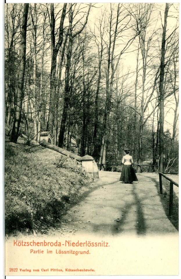 02822-Kötzschenbroda-1903-Niederlößnitz, Lößnitzgrund-Brück & Sohn Kunstverlag