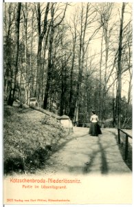 02822-Kötzschenbroda-1903-Niederlößnitz, Lößnitzgrund-Brück & Sohn Kunstverlag