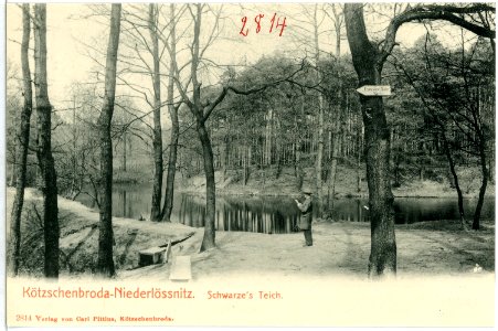 02814-Kötzschenbroda-1903-Niederlößnitz, Schwarzes Teich-Brück & Sohn Kunstverlag