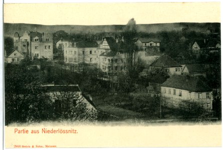02866-Niederlößnitz-1903-in der Niederlößnitz-Brück & Sohn Kunstverlag
