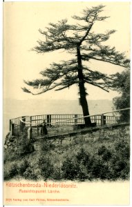 02828-Kötzschenbroda-1903-Niederlößnitz Aussichtspunkt Lärche-Brück & Sohn Kunstverlag
