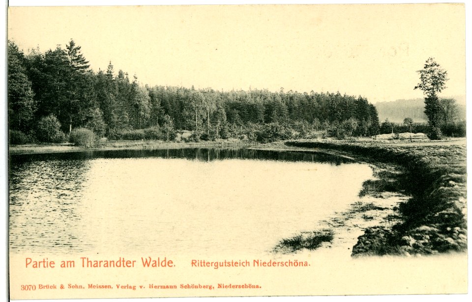 03070-Niederschöna-1903-Rittergutsteich, Tharandter Wald-Brück & Sohn Kunstverlag