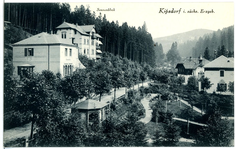 03011-Kipsdorf-1903-Blick in den Ort-Brück & Sohn Kunstverlag