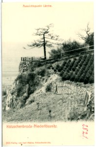 02821-Kötzschenbroda-1903-Niederlößnitz, Aussichtspunkt Lärche-Brück & Sohn Kunstverlag