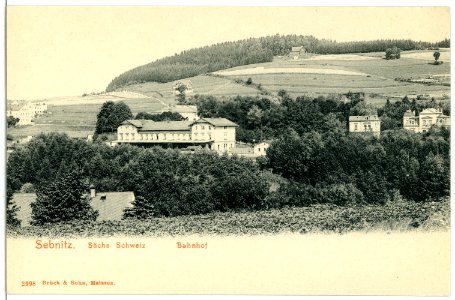 02998-Sebnitz-1903-Bahnhof-Brück & Sohn Kunstverlag