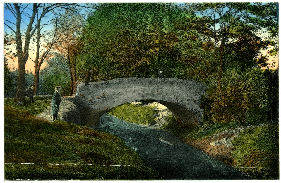 01986-Großenhain-1901-Partie im Stadtpark-Brück & Sohn Kunstverlag
